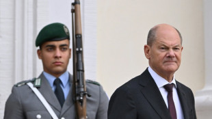 El gobierno alem&aacute;n aprueba el nuevo servicio militar voluntario