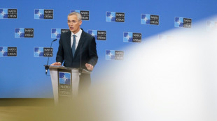 "El camino hacia la paz implica m&aacute;s armas para Ucrania", seg&uacute;n el jefe de la OTAN