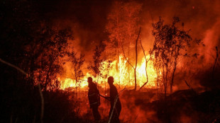 Des incendies font quatre morts en Indon&eacute;sie et asphyxient la r&eacute;gion