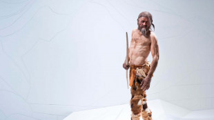 Nuova cella frigorifera per la mummia &Ouml;tzi
