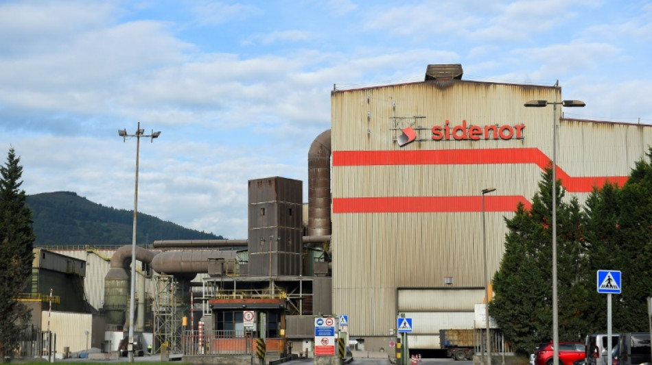 El grupo espa&ntilde;ol Sidenor considera una posible OPA sobre el fabricante de trenes Talgo