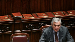Italia convoca al embajador de Ir&aacute;n tras la detenci&oacute;n de una periodista italiana