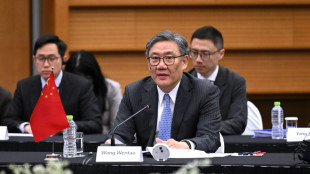 China advierte a la OMC que los aranceles de EEUU causarán "graves perjuicios" a los países pobres