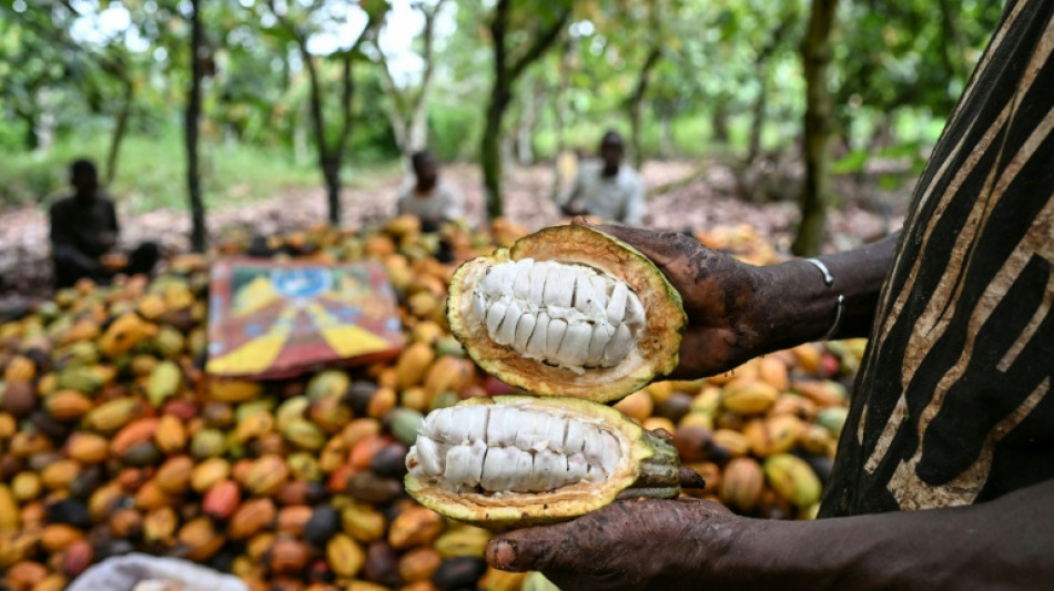 C&ocirc;te d'Ivoire: l'Etat va acheter les stocks de cacao pour r&eacute;soudre la crise