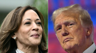 El debate Trump-Harris, un gran desaf&iacute;o para verificadores de contenidos