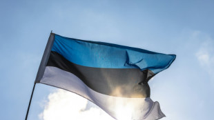 Le Parlement estonien donne son feu vert à la limitation du droit de vote des résidents russes