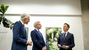 Nuevo gobierno neerland&eacute;s quiere endurecer al m&aacute;ximo su pol&iacute;tica de asilo
