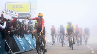 Dauphin&eacute;: Magnus Cort Nielsen sort de la brume