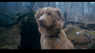 Leonberg, Good Boy, il mio retriever contro i fantasmi