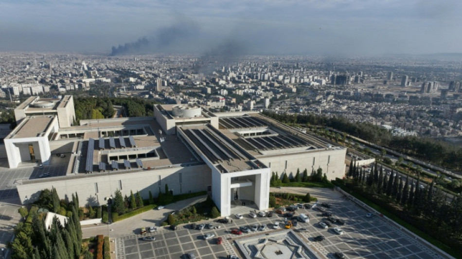 Un palacio en shock: las &uacute;ltimas horas de Bashar al Asad en Siria