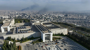 Un palacio en shock: las &uacute;ltimas horas de Bashar al Asad en Siria