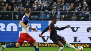 Leverkusen sink Hamburg to keep in touch with top four