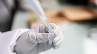Leucemia linfatica cronica, combinazione farmaci riduce bisogno di terapie successive