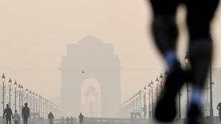 Nube t&oacute;xica en Nueva Delhi despu&eacute;s de la fiesta hind&uacute; del Diwali