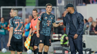 FC Bayern: Muskelb&uuml;ndelriss bei Palhinha