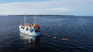 Trotz Fangverboten: Deutsche Ostsee-Fischer dürfen weiter Hering fischen