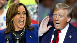 Harris et Trump jettent leurs derni&egrave;res forces dans une fin de campagne anxiog&egrave;ne