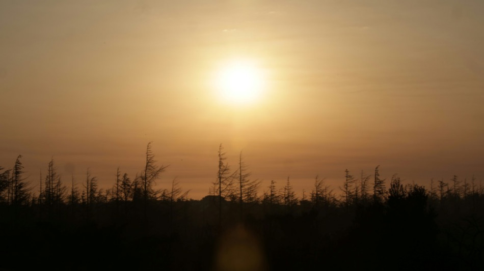 UN climate panel fails to agree date for global warming update: envoy