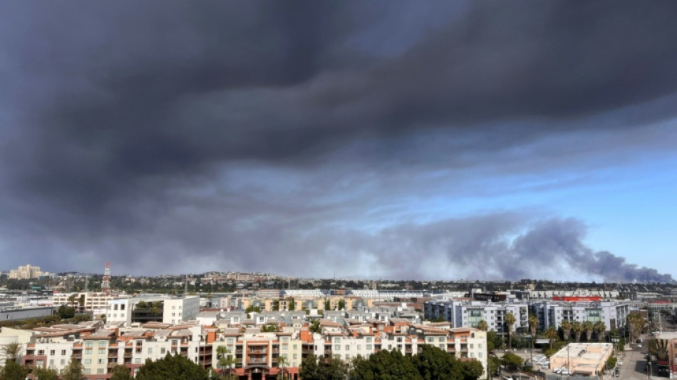 Los &Aacute;ngeles, en estado de emergencia por un incendio en un dep&oacute;sito de alimentos
