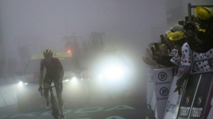 Vollering grasps women's Tour lead with victory atop Tourmalet