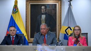 Venezuela will hold presidential elections on July 28: official&nbsp;
