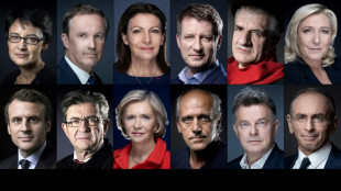 Pr&eacute;sidentielle: les candidats au plus pr&egrave;s des pr&eacute;occupations des Fran&ccedil;ais