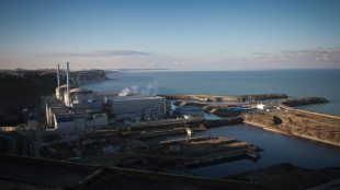 EDF et l'Etat français se mettent d'accord sur le financement de la relance du nucléaire
