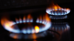 Il gas in serata sale a 96,17 euro al megawattora