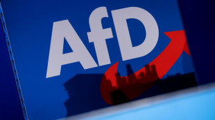 AfD kommt in Bayern auf Extremistenliste