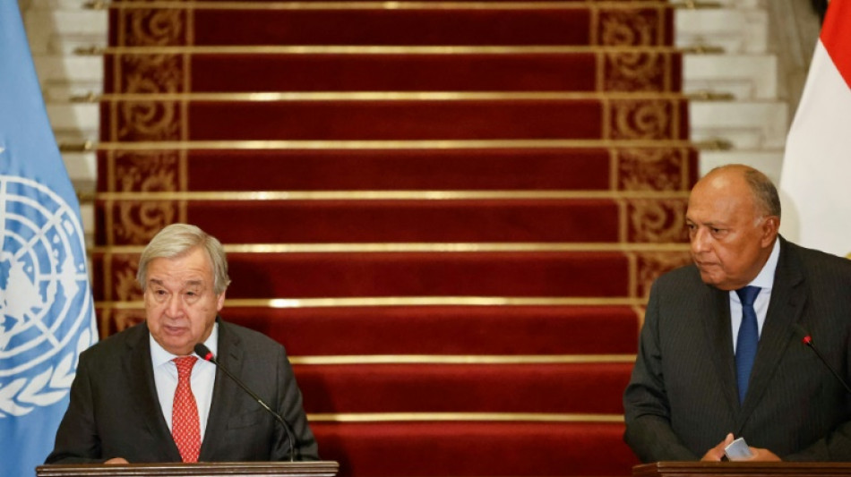 UN chief calls for 'sustained' humanitarian access to Gaza