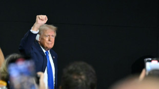 El a&ntilde;o loco de Donald Trump