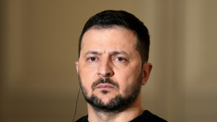 Selenskyj dr&auml;ngt EU zur schnellen Nutzung russischen Verm&ouml;gens 