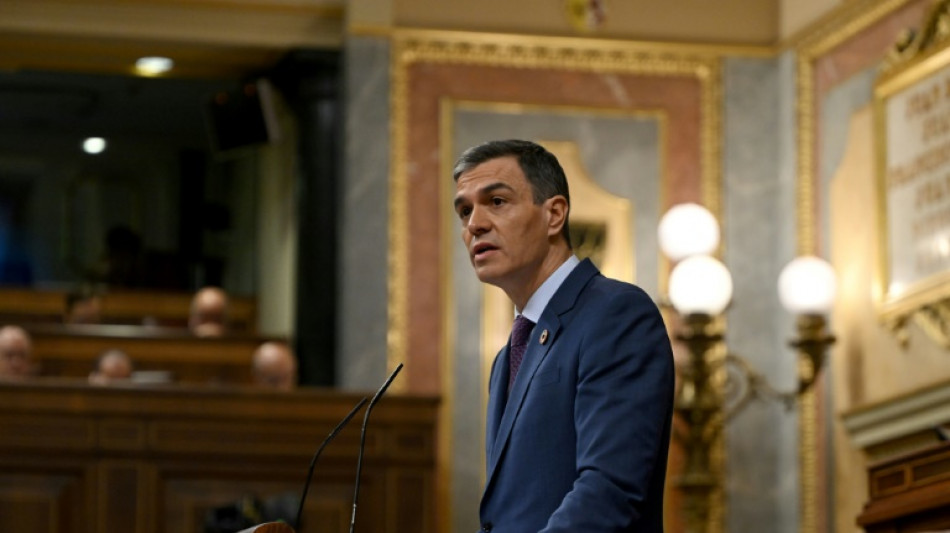 En Sevilla, los socialistas espa&ntilde;oles cierran filas en torno a Pedro S&aacute;nchez