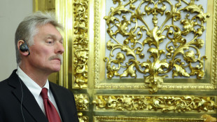 Cremlino, 'Merz attribuisce tutto alla Russia. E' un'ossessione di persecuzione'