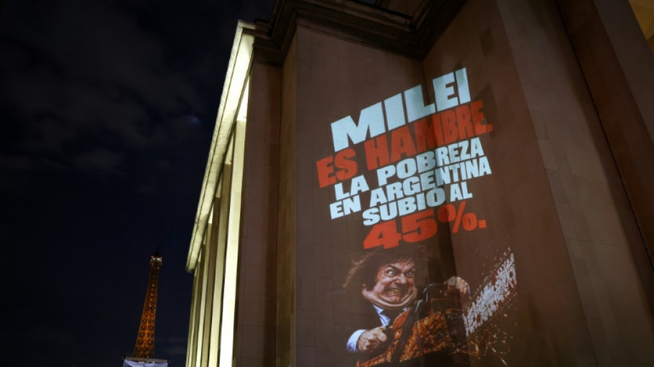 Milei ofrece a Europa una Argentina con "energ&iacute;a abundante" y "lejos" de conflictos