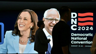 Harris acepta la candidatura presidencial dem&oacute;crata con un discurso de unidad