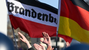 Leiter von Brandenburger Verfassungsschutz von Dienstgeschäften entbunden