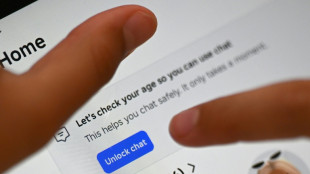 El Consejo de Europa pide "cautela" al examinar las prohibiciones de redes sociales