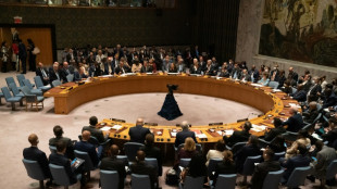 La Asamblea General de la ONU estudia c&oacute;mo reformar Consejo de Seguridad