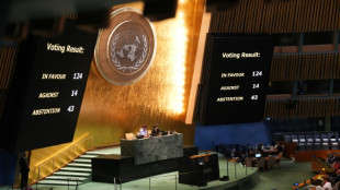 La Asamblea General de la ONU pide el fin de la ocupaci&oacute;n israel&iacute; de los territorios palestinos