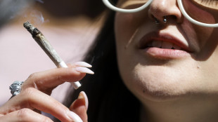Trovati i neuroni che scatenano l'ansia da cannabis