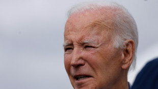 Biden pide "bajar la temperatura" pol&iacute;tica tras victoria de Trump