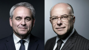 "Technique" ou "politique", la qu&ecirc;te de l'oiseau rare &agrave; Matignon continue