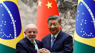 Xi a Lula, 'Cina e Brasile modello di autosufficienza'