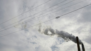 El mundo debe cuadruplicar la eliminaci&oacute;n de CO2 para 2050, dice informe