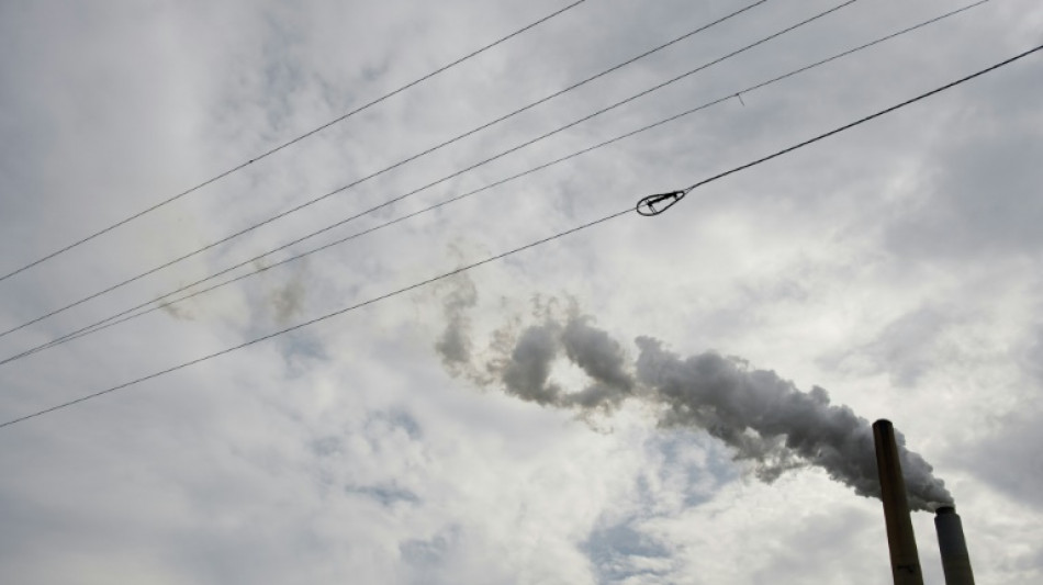 El mundo debe cuadruplicar la eliminaci&oacute;n de CO2 para 2050, dice un informe