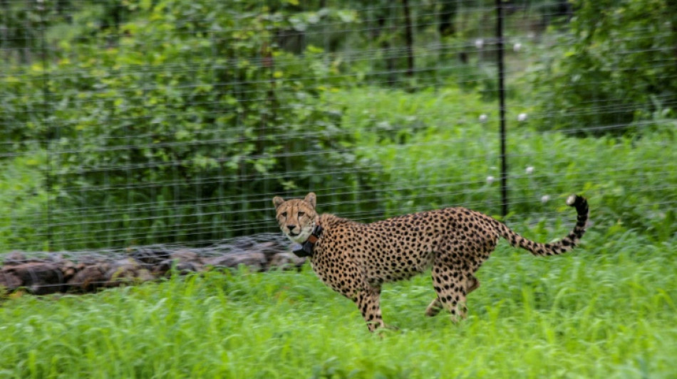 Le Malawi exempte 79 pays de visas pour d&eacute;velopper le tourisme