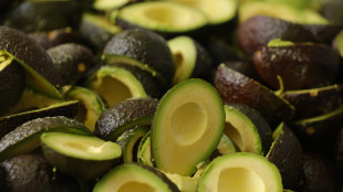 Il Messico annuncia misure per riprendere l'export di avocado negli Usa