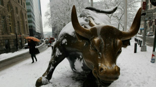 Stocks rally and dollar drop on hopes Fed rates have peaked