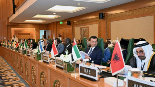 Países islâmicos adotam plano árabe para reconstruir Gaza como alternativa à ideia de Trump